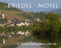 Ferienweingut Mosel-Weingut in Briedel an der Mosel
