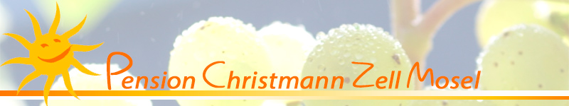 Zell Mosel Pension